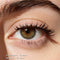 Daily
