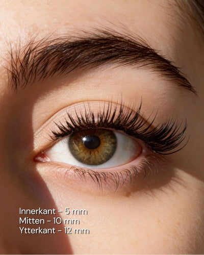 Cat-Eye
