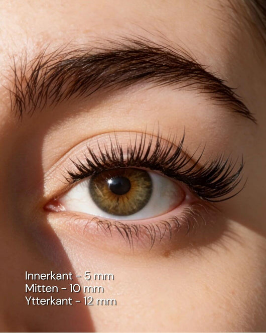 Cat-Eye